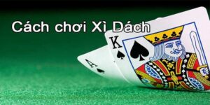 Quản lý tiền cược đóng vai trò quan trọng trong xì dách